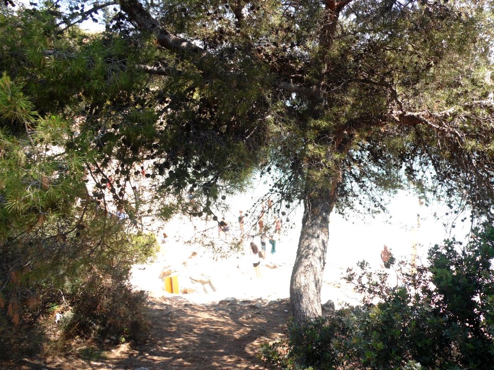 CALA CONTESA - MAJORKA, AB-015