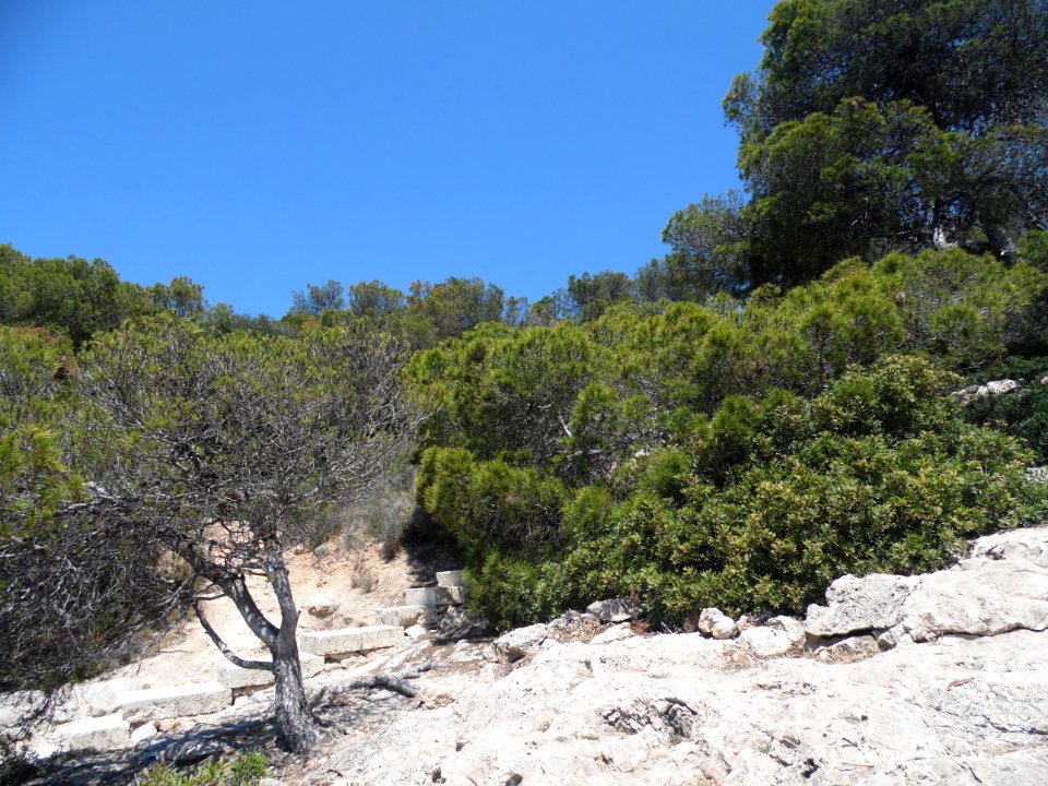 CALA CONTESA - MAJORKA, AB-054