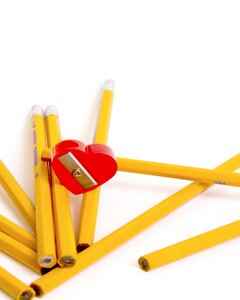 Education yellow red