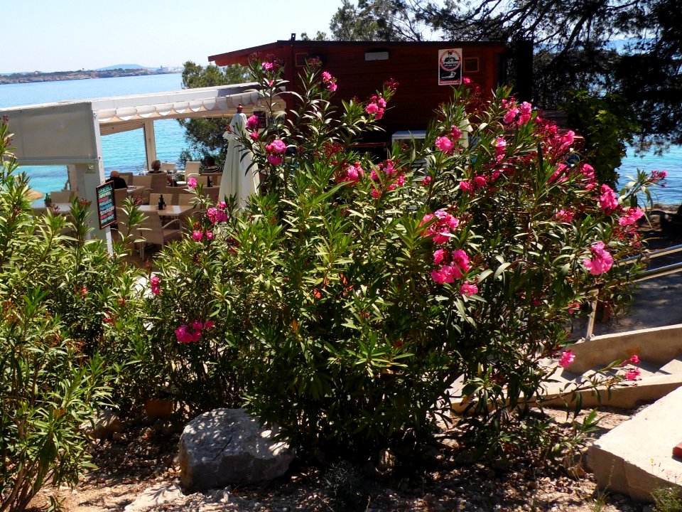 CALA CONTESA - MAJORKA, AB-008