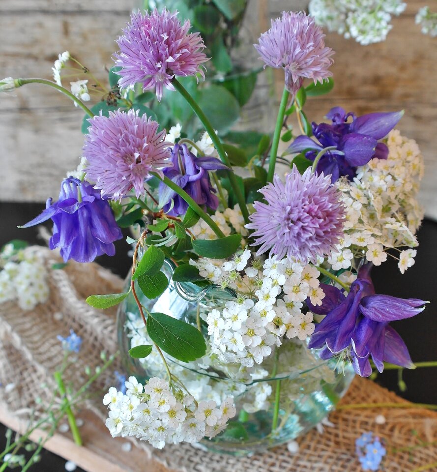 Still life spring close up