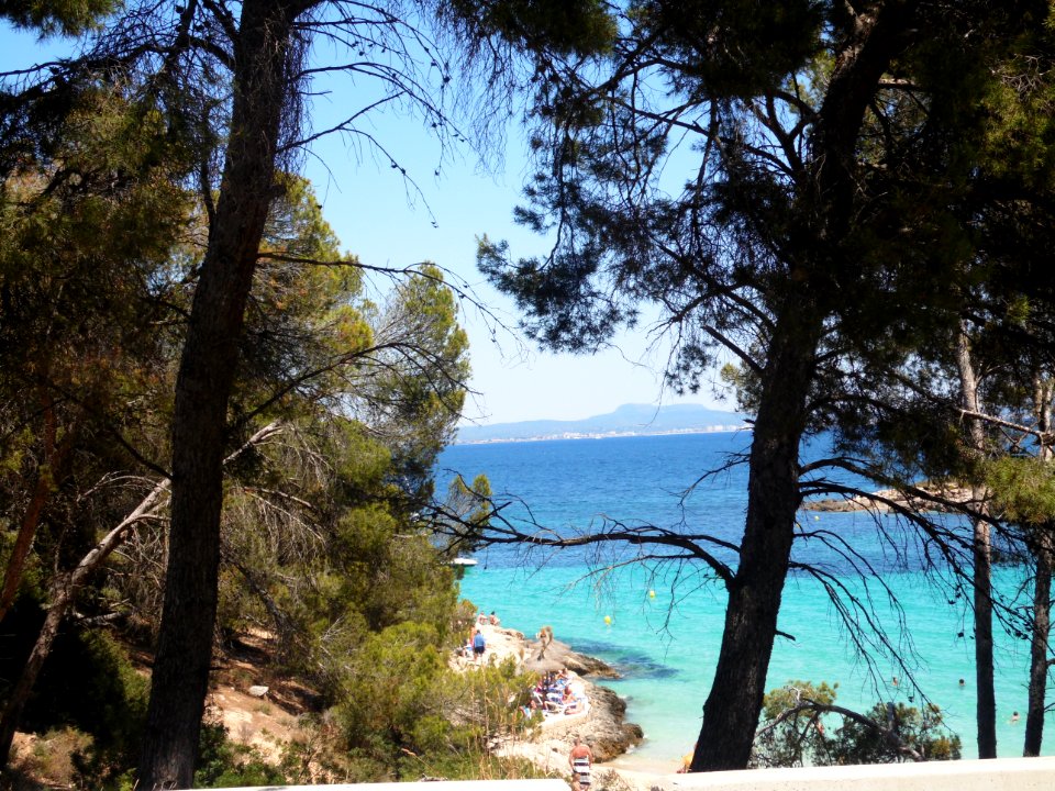 CALA CONTESA - MAJORKA, AB-064