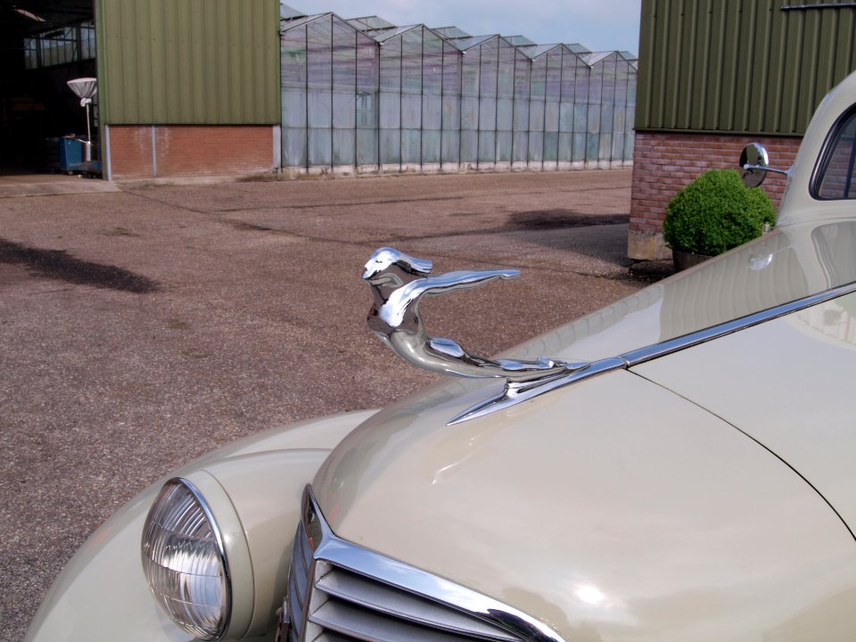 Cadillac V8(1936), Dutch license registration AH-75-44 pic8