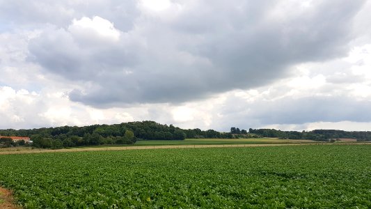 Cadier en Keer-Landgoed Heerdeberg (1)
