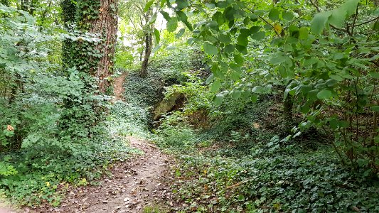 Cadier en Keer-Keerderberggroeve-zuid (1)