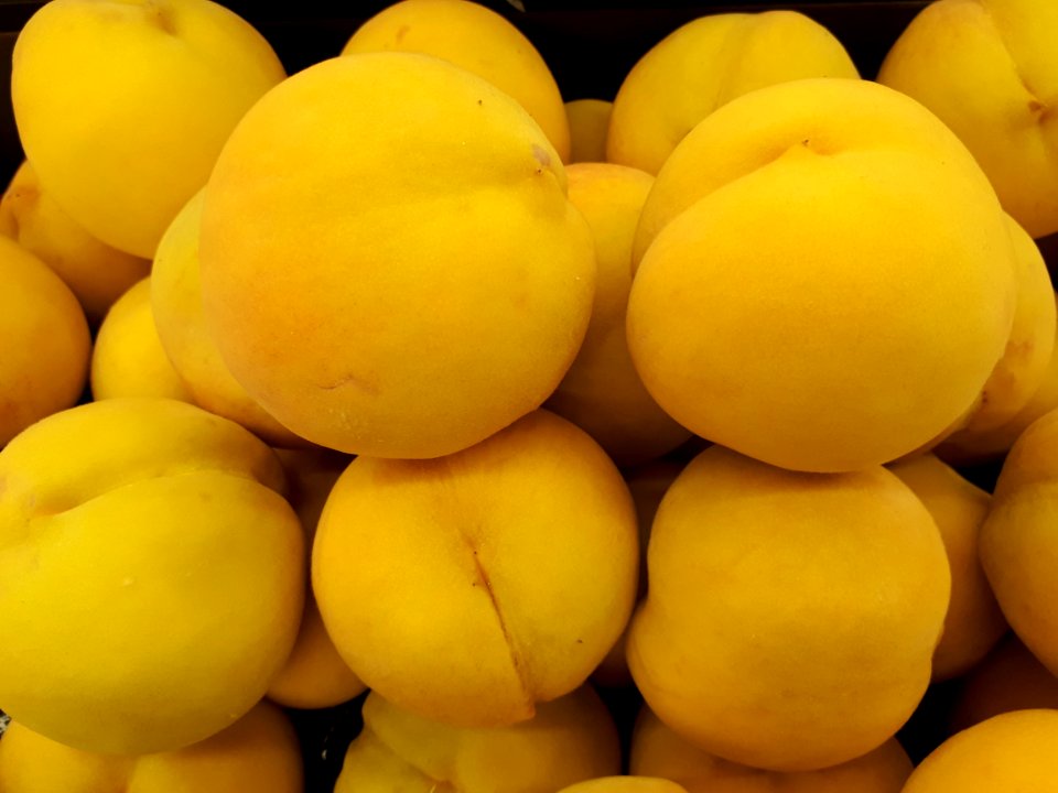 Calanda peaches 2017 B2