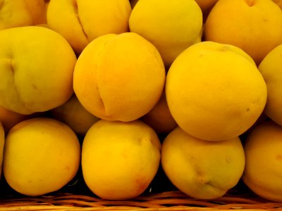Calanda peaches 2017 B1