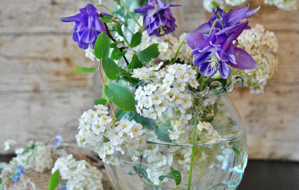 Still life spring close up