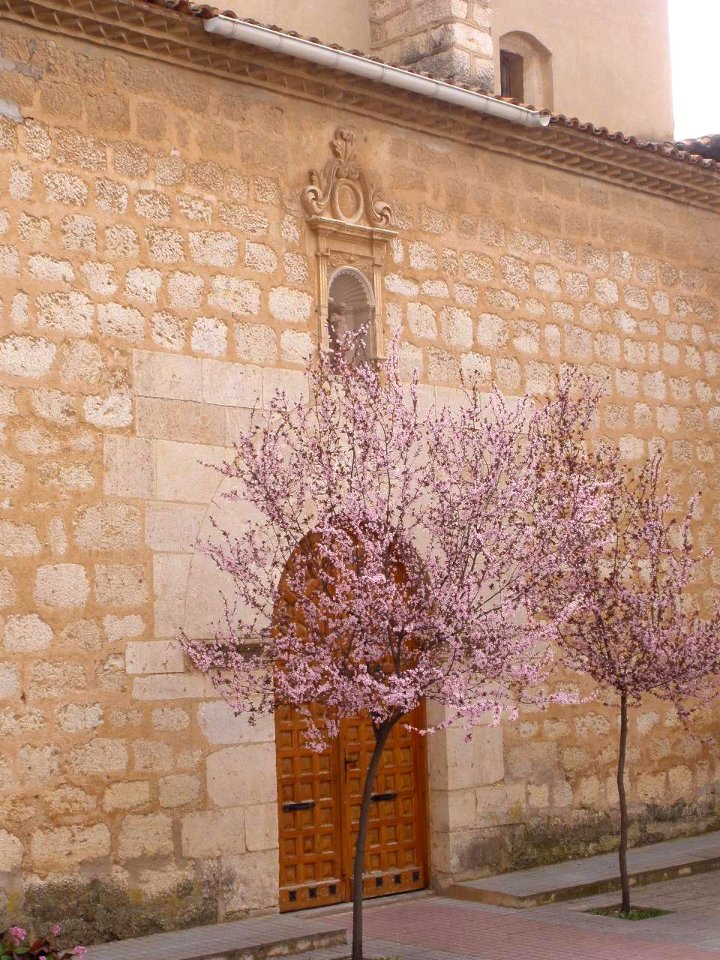 Calamocha - Convento de San Miguel Arcángel (Franciscanas Concepcionistas) 5