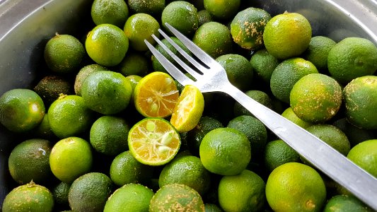 Calamansi (Philippines)