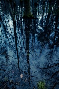 Hole nature biotope