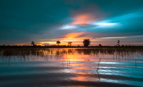 Rice countryside myanmar burma photo