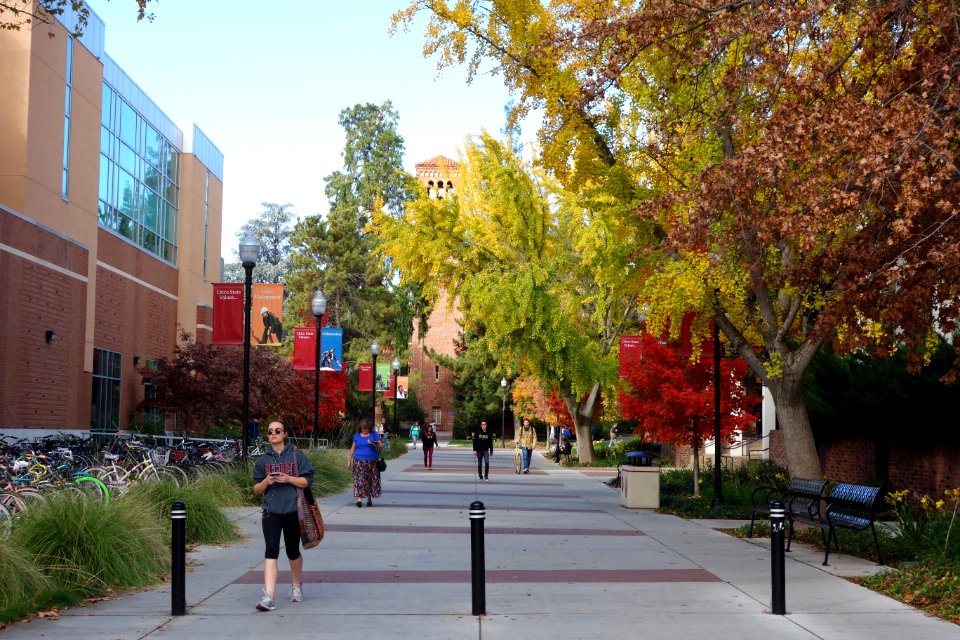 California State University, Chico - DSC03157