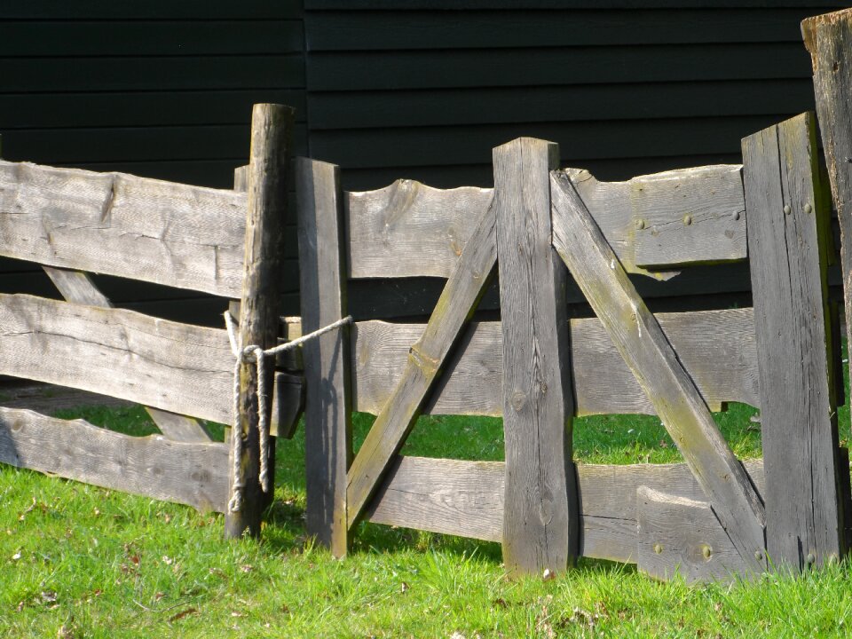 Wood structure old wood photo