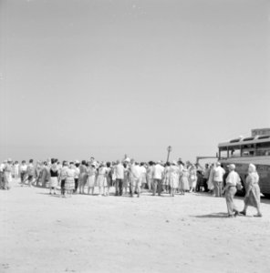 Caesarea. Aankomst toeristen die juist per autobus zijn gearriveerd, Bestanddeelnr 255-2653