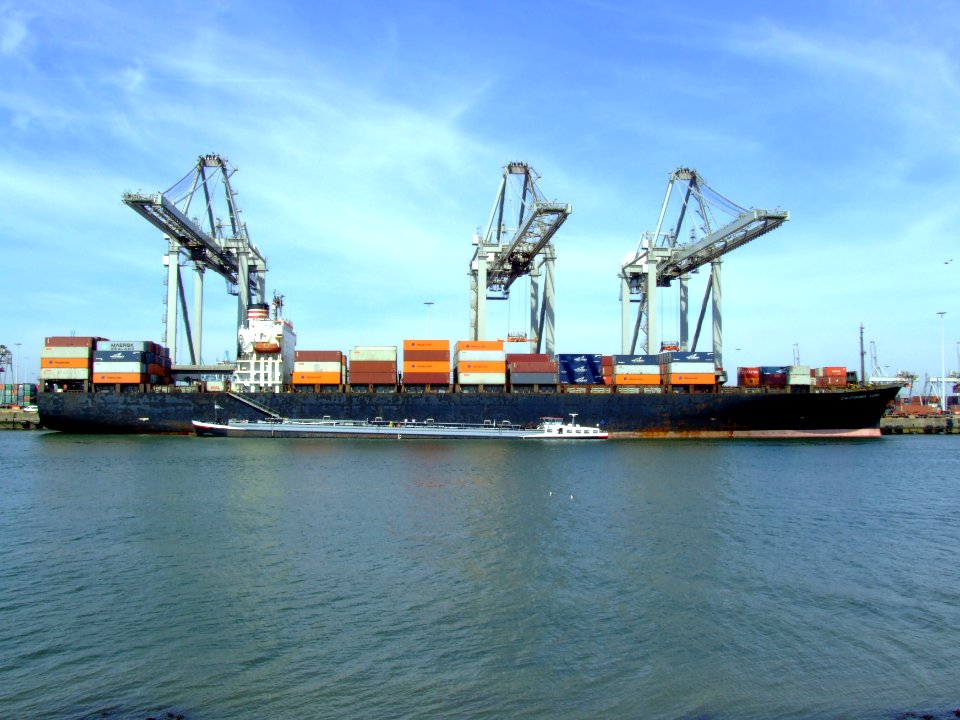 California Luna IMO 8616491 , at the Amazone harbour, Port of Rotterdam, Holland 08-Apr-2007