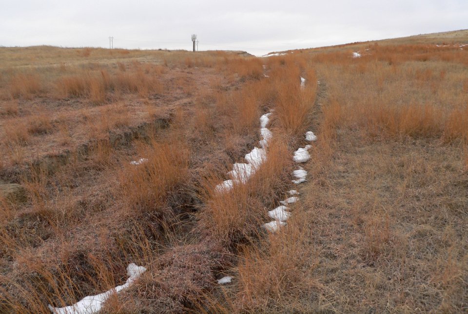 California Hill (Keith County, NE) ruts 1