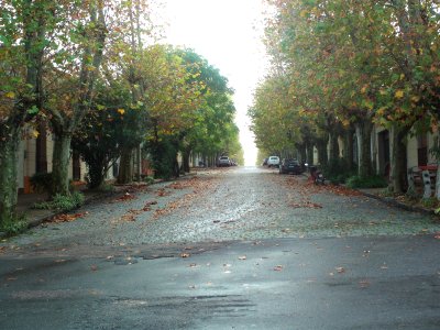 Calle Washington Barbot