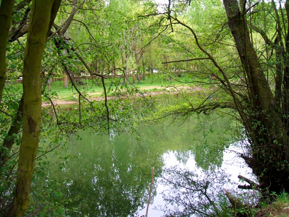 Carrión de los Condes, río Carrión 01