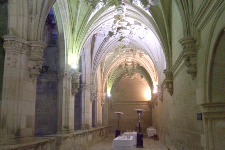 Carrión de los Condes - Monasterio de San Zoilo, claustro 14