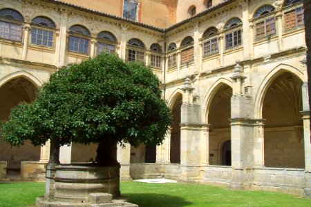 Carrión de los Condes - Monasterio de San Zoilo, claustro 04