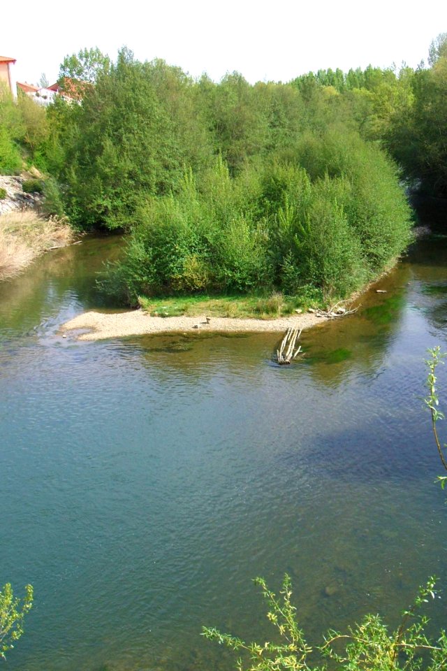 Carrión de los Condes, río Carrión 03