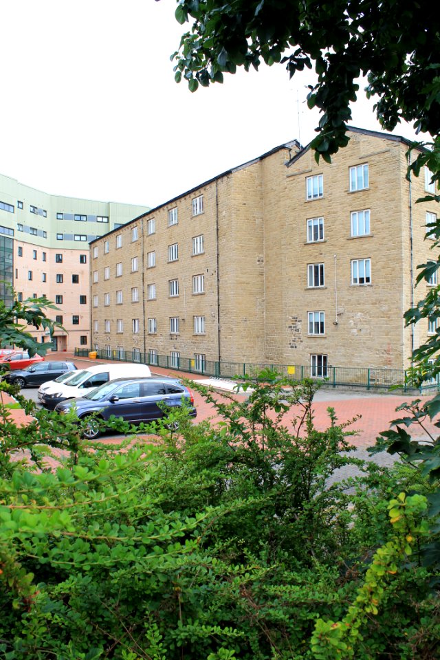 Carr Mills 2019-07-18 (1)