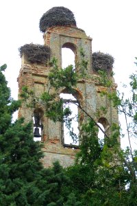 Carrión de los Condes - Ex Convento de San Francisco 03