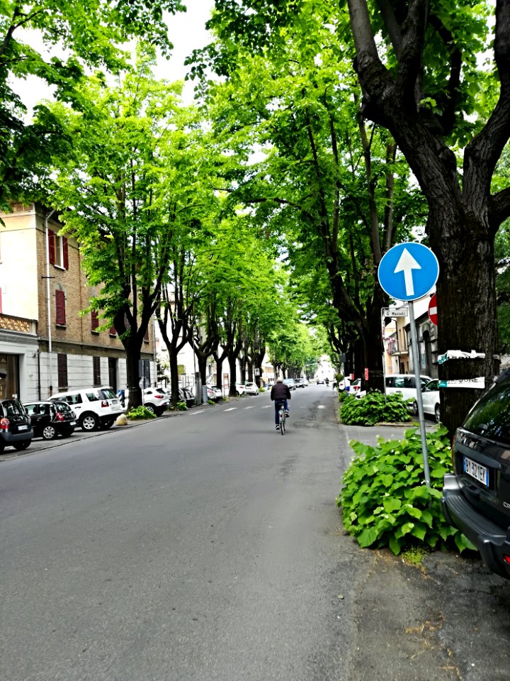 Carpi (Modena) - 25 aprile 2017 03