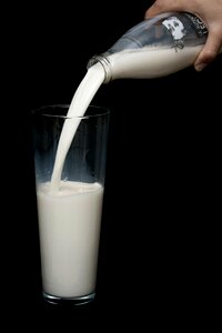 White nutrition kitchen