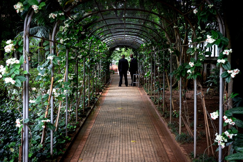 Casa das Rosas 012