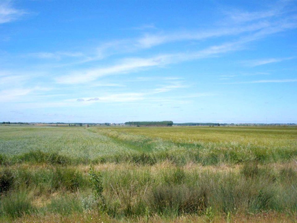 Carretera Piña de Campos - Tamara de Campos 1