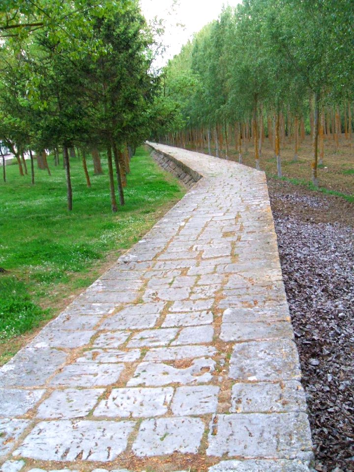 Carrión de los Condes - Monasterio de San Zoilo 04
