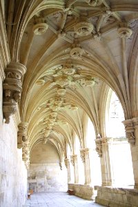 Carrión de los Condes - Monasterio de San Zoilo, claustro 01