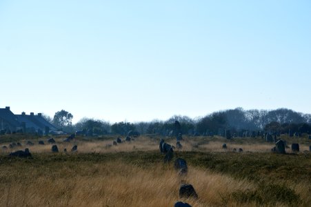 Carnac-alignement-2