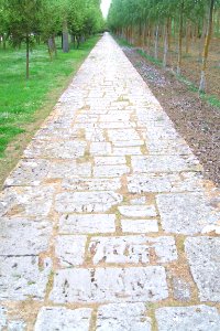 Carrión de los Condes - Monasterio de San Zoilo 05