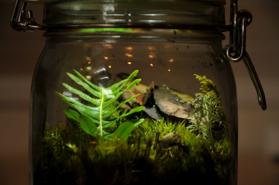 Aquarium green glass