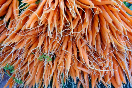 Carrots - Farmer's Market at the Ferry Building - San Francisco, CA - DSC03563 photo