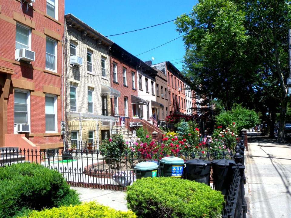 Carroll Gardens Clin4 gardens jeh
