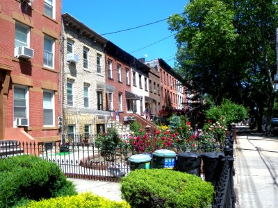 Carroll Gardens Clin4 gardens jeh