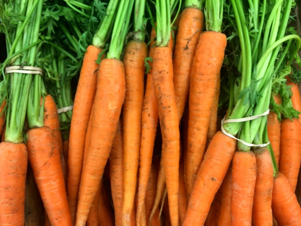Carrots on Display