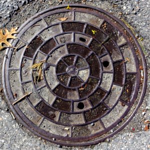 Cartwheel - Arlington, MA - DSC00008