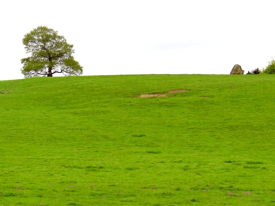 Carved rock known as the Grey Stone in Grey Stone Pasture, Harewood Park, 370m south east of New Bridge