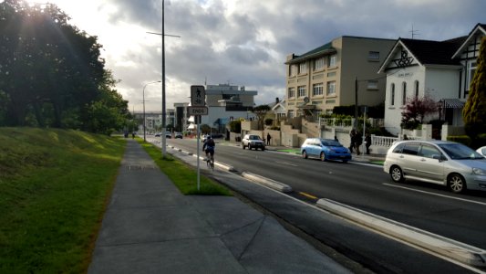 Carlton Gore Road Protected Lanes photo