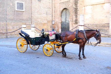 Carriage in Seville, Spain - DSC07650