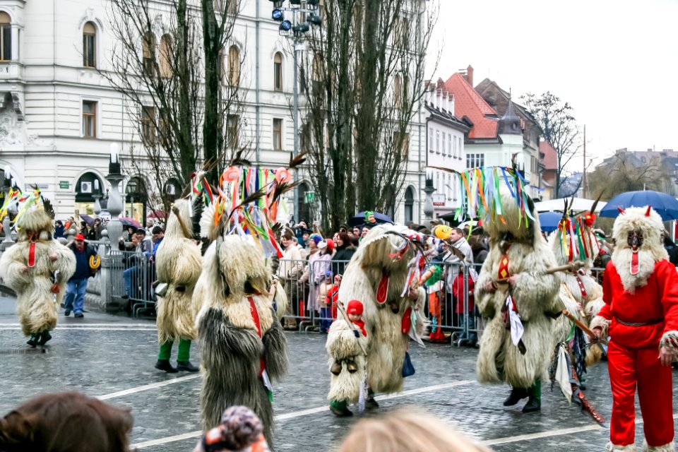 Carnival 2008-02-02 Ljubljana 04