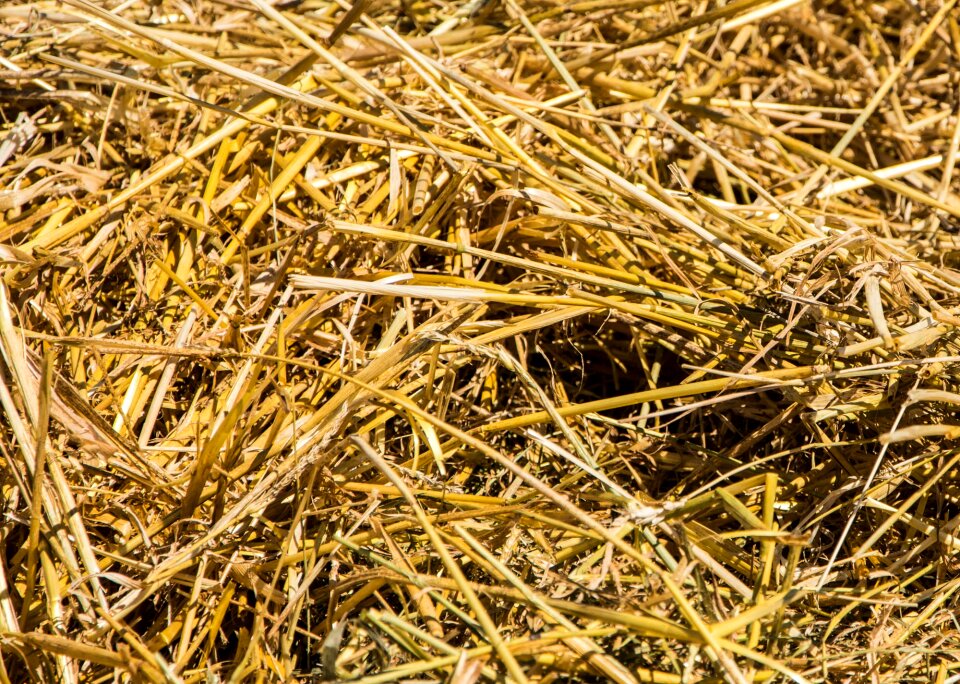 Agriculture nature heap