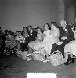 Carnavalsstemming Soestdijk bezoek Limburgers, Bestanddeelnr 905-9249