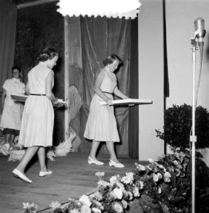 Carnavalsstemming Soestdijk bezoek Limburgers, Bestanddeelnr 905-9266