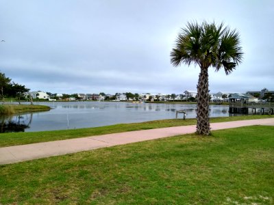 Carolina Beach 4